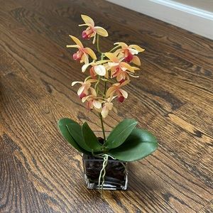 Silk yellow and rose orchid